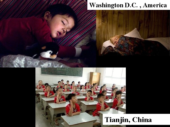 Washington D. C. , America Tianjin, China 
