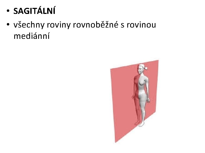  • SAGITÁLNÍ • všechny roviny rovnoběžné s rovinou mediánní 