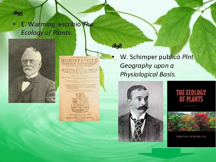 1895 • E. Warming escribió The Ecology of Plants. 1898 • W. Schimper publicó