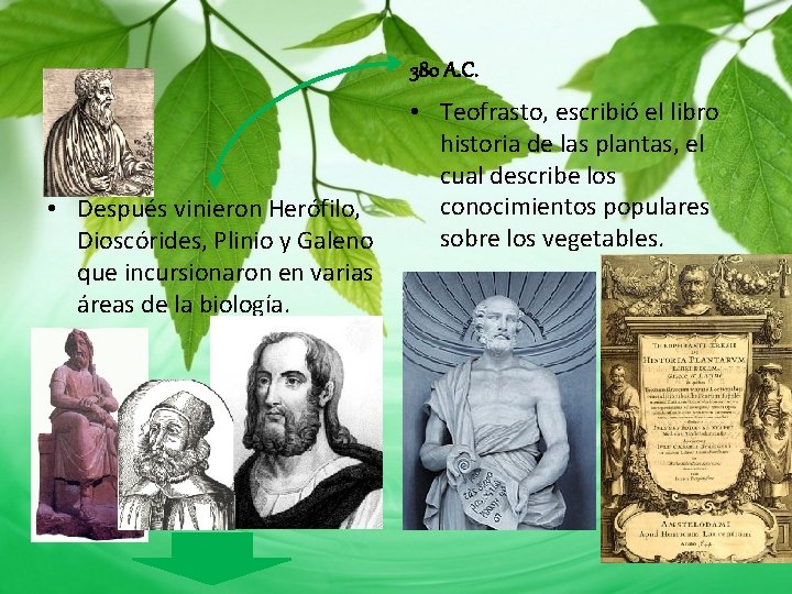 380 A. C. • Después vinieron Herófilo, Dioscórides, Plinio y Galeno que incursionaron en