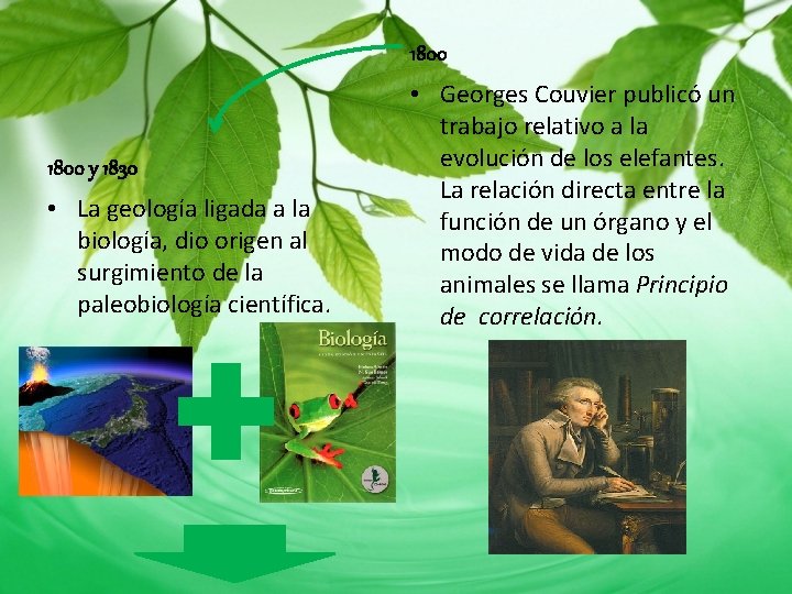 1800 y 1830 • La geología ligada a la biología, dio origen al surgimiento