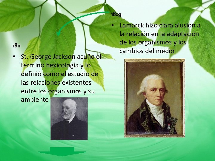 1809 1811 • St. George Jackson acuño el término hexicología y lo definió como