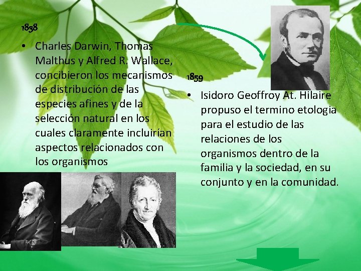 1838 • Charles Darwin, Thomas Malthus y Alfred R. Wallace, concibieron los mecanismos de