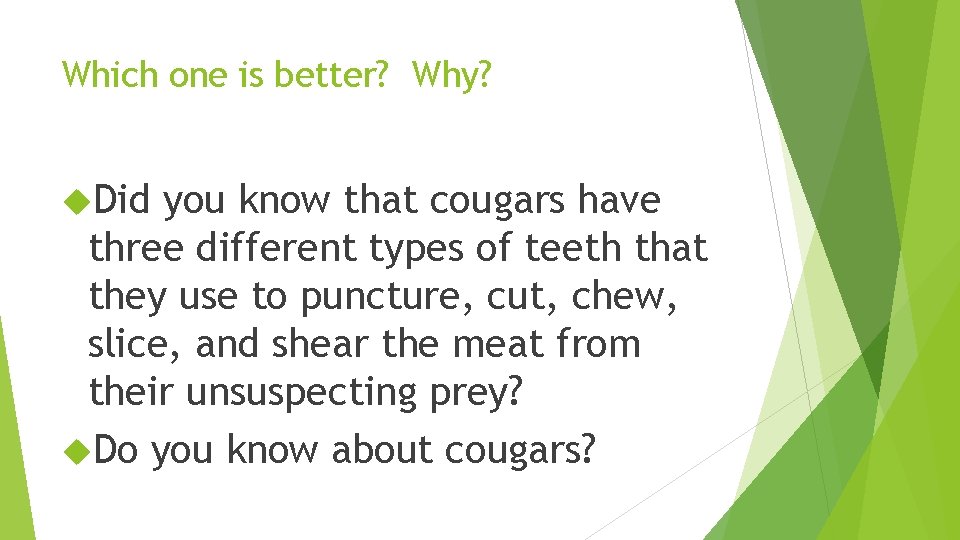 Which one is better? Why? Did you know that cougars have three different types