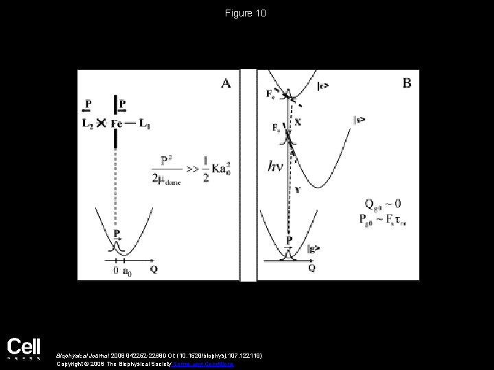 Figure 10 Biophysical Journal 2008 942252 -2268 DOI: (10. 1529/biophysj. 107. 122119) Copyright ©