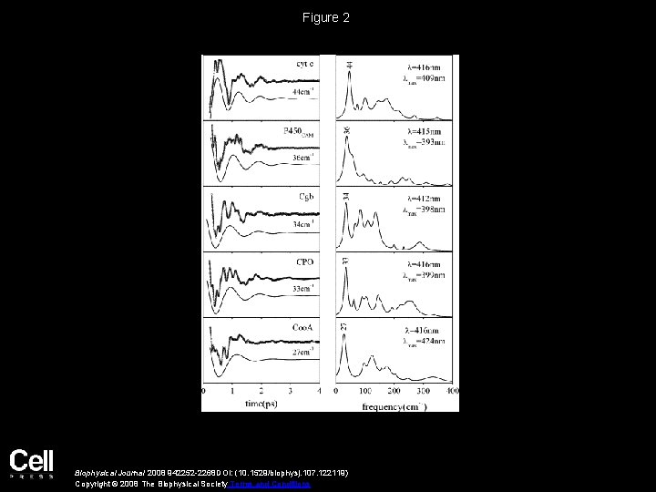 Figure 2 Biophysical Journal 2008 942252 -2268 DOI: (10. 1529/biophysj. 107. 122119) Copyright ©