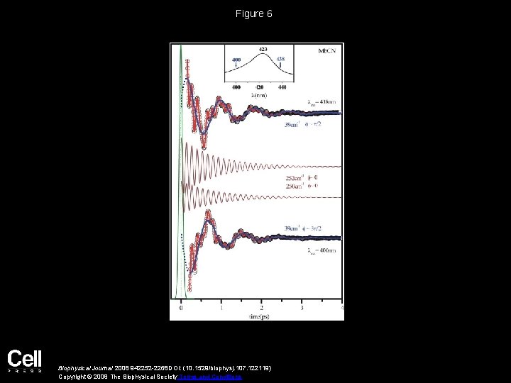 Figure 6 Biophysical Journal 2008 942252 -2268 DOI: (10. 1529/biophysj. 107. 122119) Copyright ©