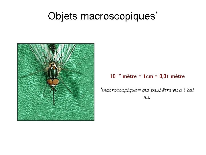 Objets macroscopiques* 10 -2 mètre = 1 cm = 0, 01 mètre *macroscopique= qui