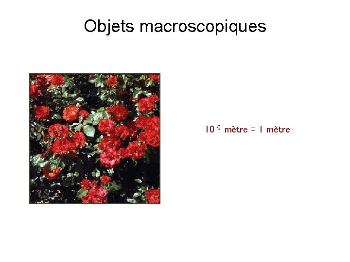 Objets macroscopiques 10 0 mètre = 1 mètre 