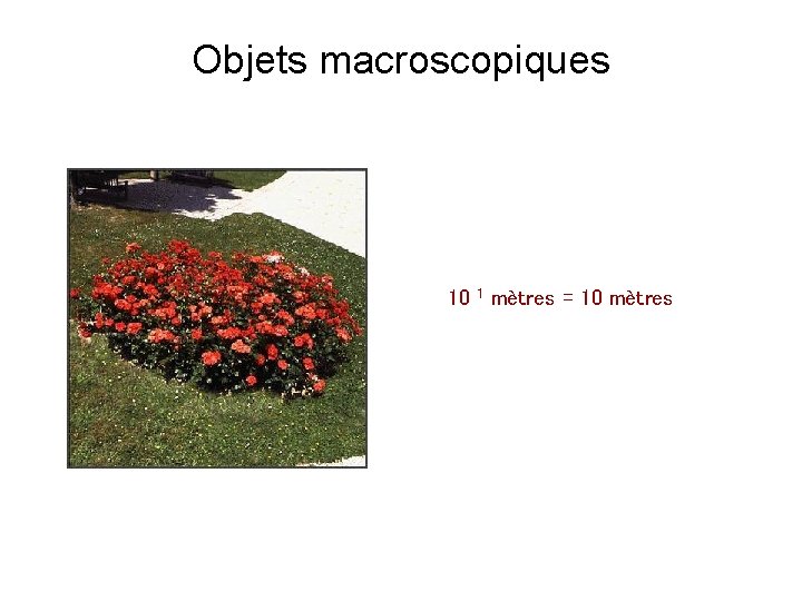 Objets macroscopiques 10 1 mètres = 10 mètres 