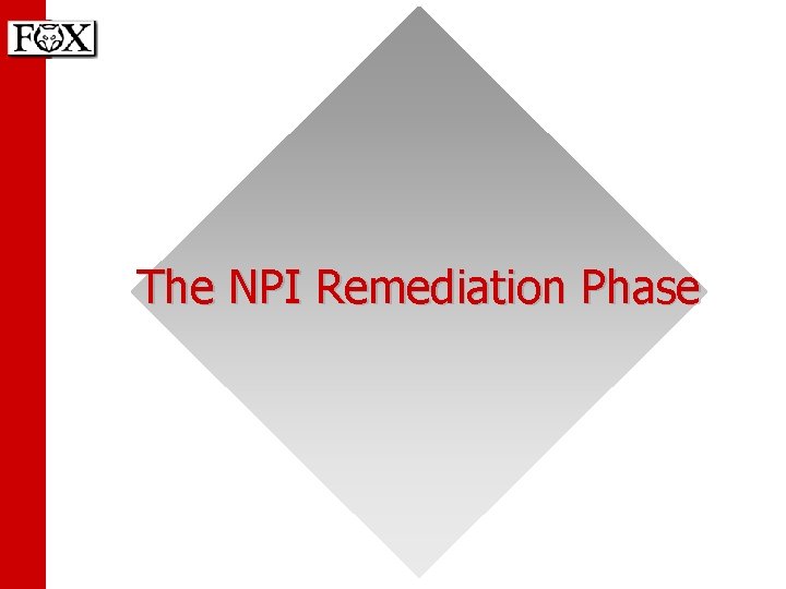 The NPI Remediation Phase 