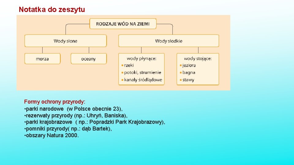 Notatka do zeszytu Formy ochrony przyrody: • parki narodowe (w Polsce obecnie 23), •