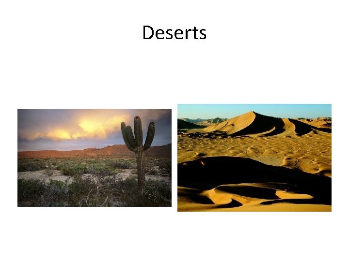 Deserts 