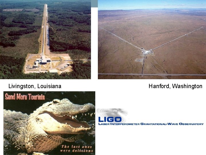  Livingston, Louisiana Livi Hanford, Washington 