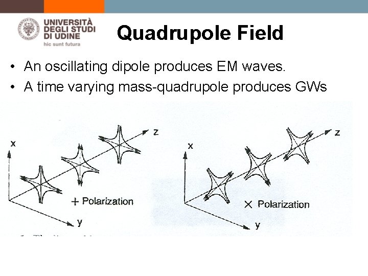 Quadrupole Field • An oscillating dipole produces EM waves. • A time varying mass-quadrupole