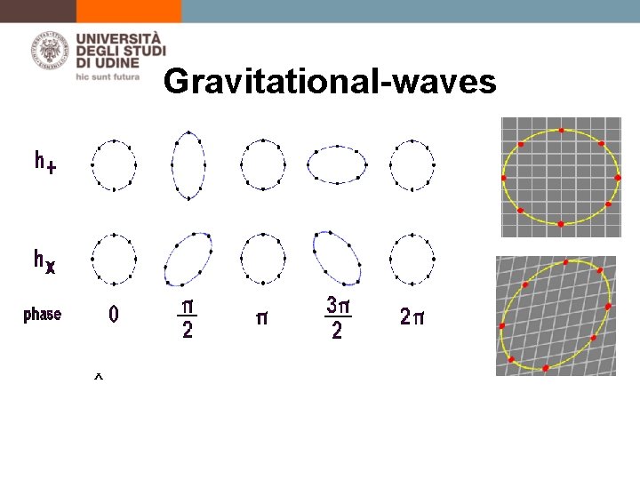 Gravitational-waves • h+ • hx 