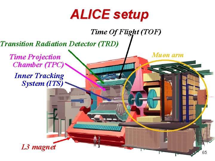 ALICE setup Time Of Flight (TOF) Transition Radiation Detector (TRD) Time Projection Chamber (TPC) ALICE setup Time Of Flight (TOF) Transition Radiation Detector (TRD) Time Projection Chamber (TPC)