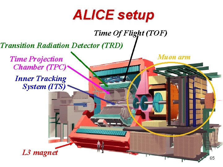 ALICE setup Time Of Flight (TOF) Transition Radiation Detector (TRD) Time Projection Chamber (TPC)