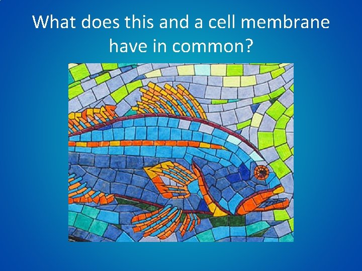 What does this and a cell membrane have in common? 