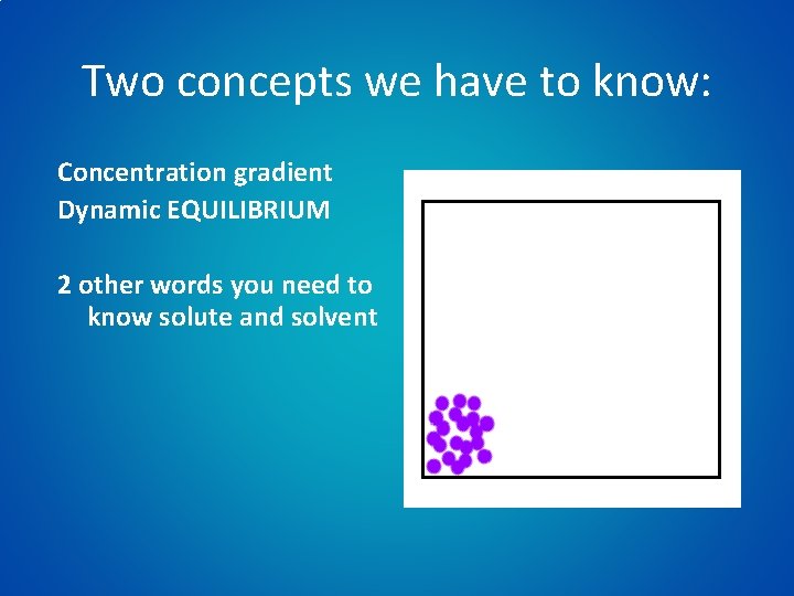 Two concepts we have to know: Concentration gradient Dynamic EQUILIBRIUM 2 other words you