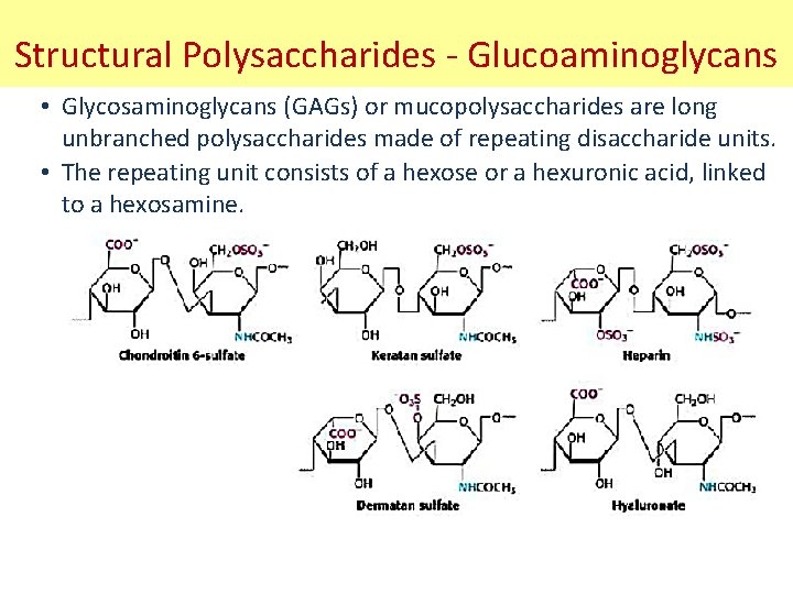 Structural Polysaccharides - Glucoaminoglycans • Glycosaminoglycans (GAGs) or mucopolysaccharides are long unbranched polysaccharides made
