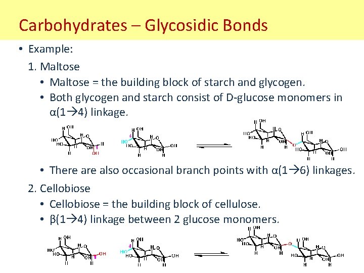 Carbohydrates – Glycosidic Bonds • Example: 1. Maltose • Maltose = the building block