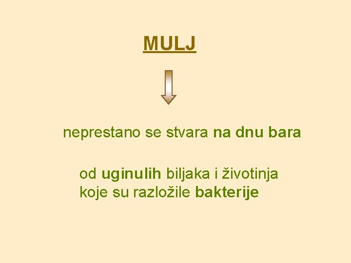 MULJ neprestano se stvara na dnu bara od uginulih biljaka i životinja koje su