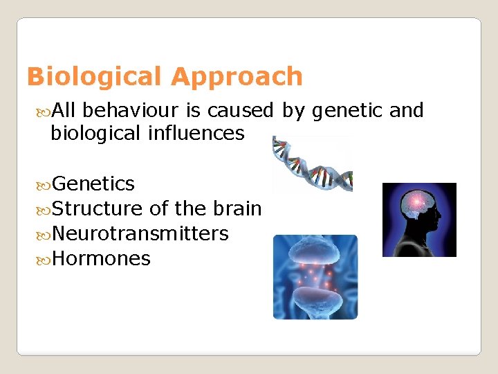 Biological Approach All behaviour is caused by genetic and biological influences Genetics Structure of