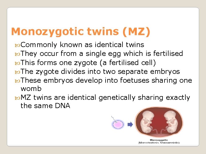 Monozygotic twins (MZ) Commonly known as identical twins They occur from a single egg