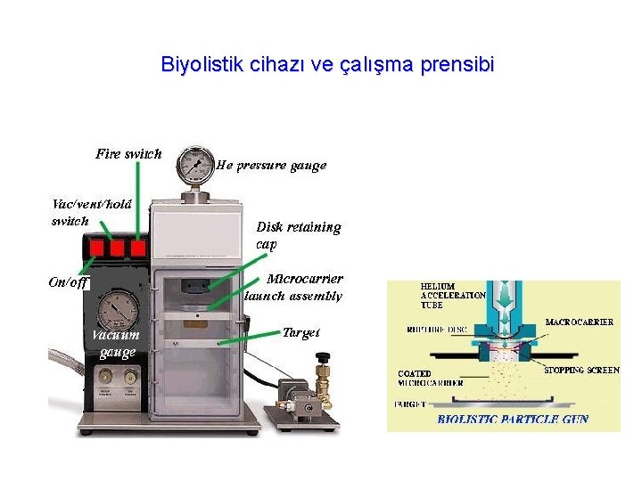 Biyolistik cihazı ve çalışma prensibi 