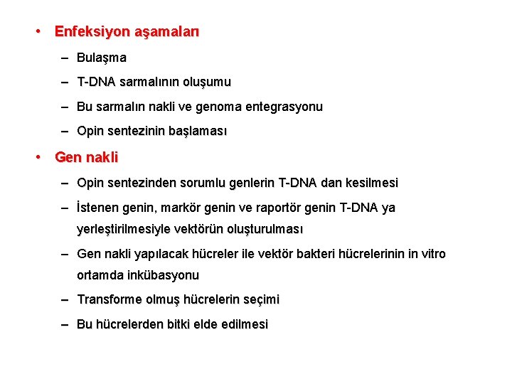  • Enfeksiyon aşamaları – Bulaşma – T-DNA sarmalının oluşumu – Bu sarmalın nakli