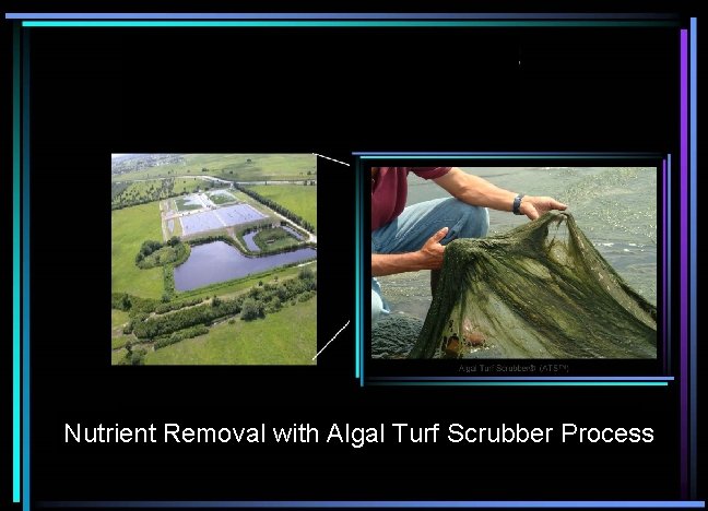 Nutrient Removal with Algal Turf Scrubber Process 