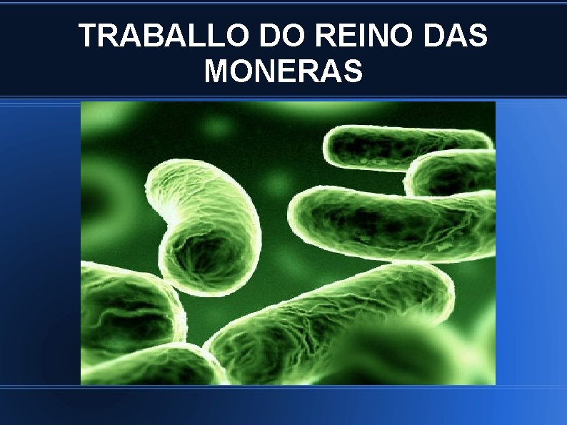 TRABALLO DO REINO DAS MONERAS 