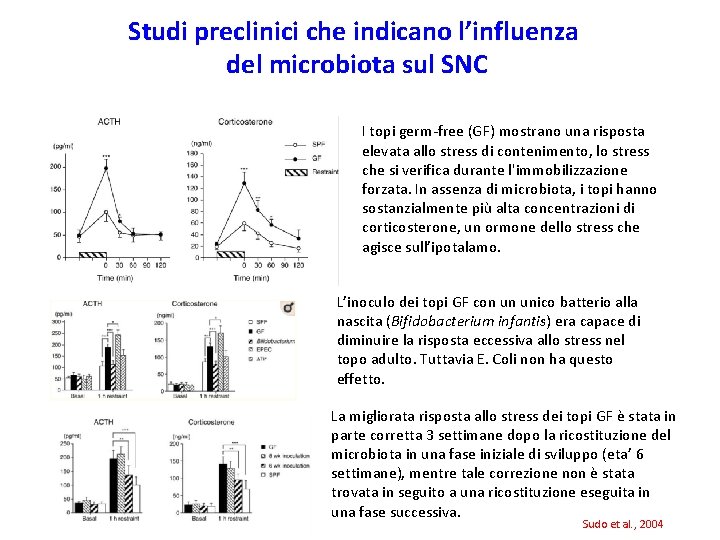 Studi preclinici che indicano l’influenza del microbiota sul SNC I topi germ-free (GF) mostrano