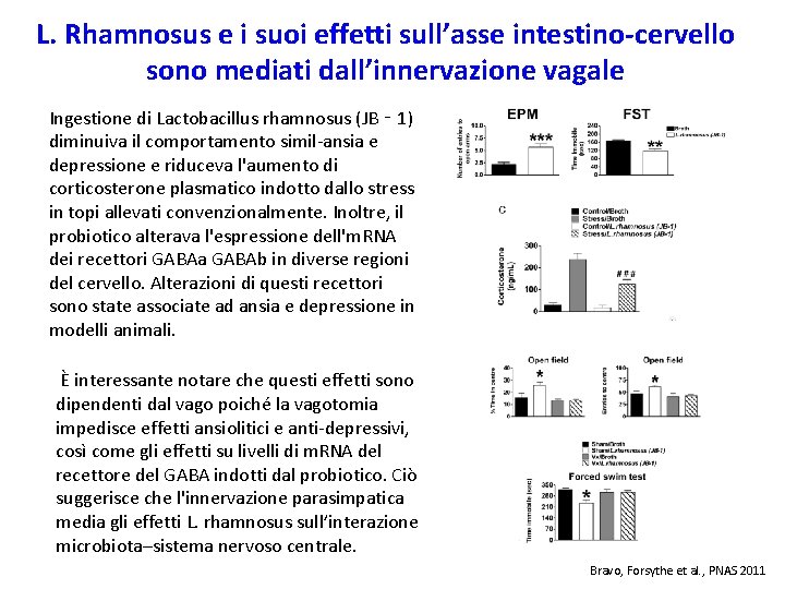 L. Rhamnosus e i suoi effetti sull’asse intestino-cervello sono mediati dall’innervazione vagale Ingestione di