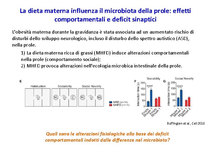 La dieta materna influenza il microbiota della prole: effetti comportamentali e deficit sinaptici L'obesità