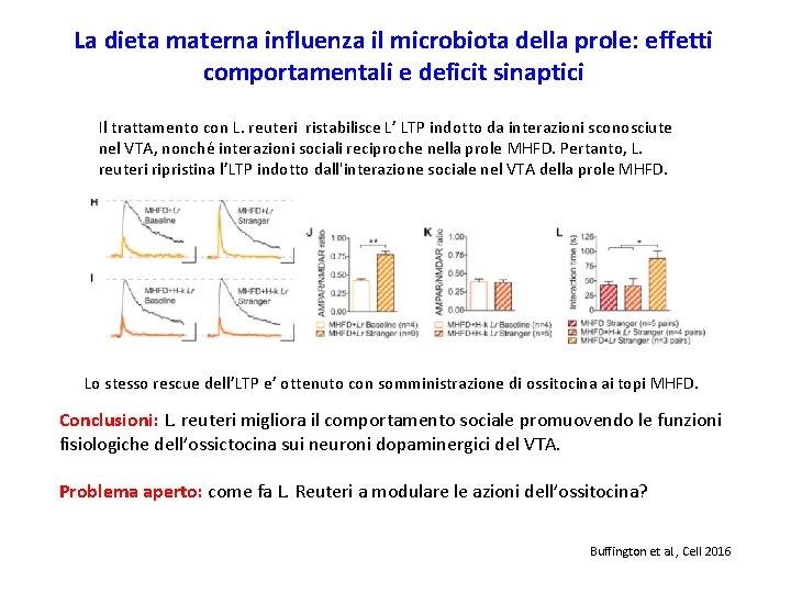 La dieta materna influenza il microbiota della prole: effetti comportamentali e deficit sinaptici Il