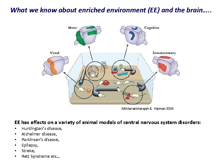 What we know about enriched environment (EE) and the brain…. . Nithianantharajah & Hannan