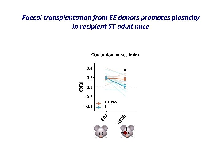 Faecal transplantation from EE donors promotes plasticity in recipient ST adult mice Ctrl PBS