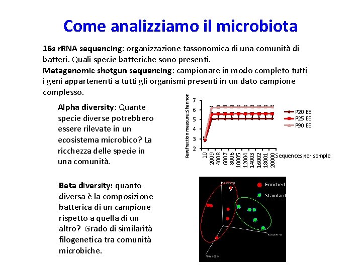 Come analizziamo il microbiota Beta diversity: quanto diversa è la composizione batterica di un