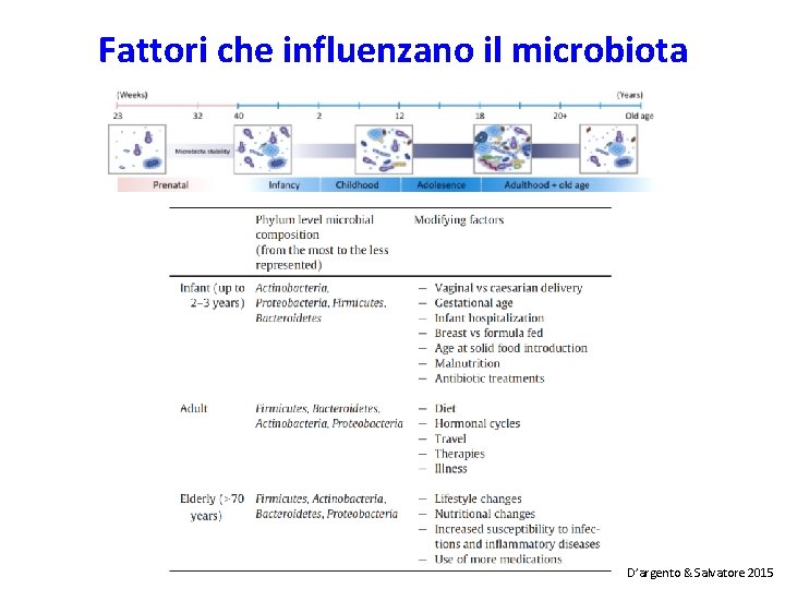 Fattori che influenzano il microbiota D’argento & Salvatore 2015 