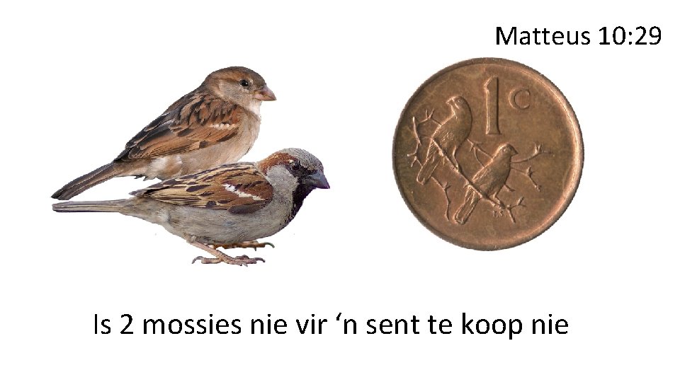 Matteus 10: 29 Is 2 mossies nie vir ‘n sent te koop nie 