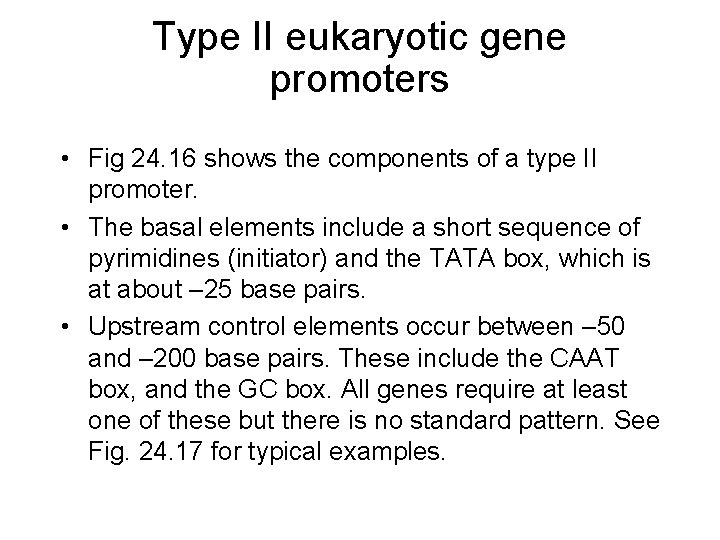 Type II eukaryotic gene promoters • Fig 24. 16 shows the components of a