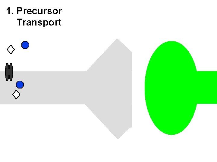 1. Precursor Transport 