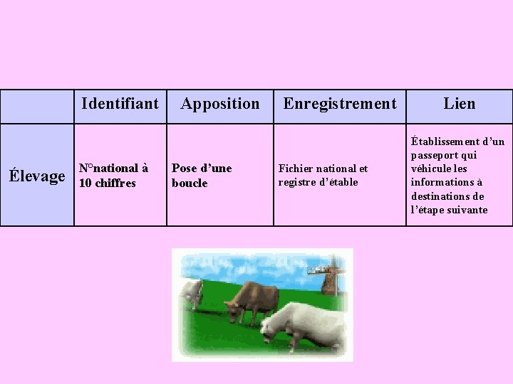 Identifiant Élevage N°national à 10 chiffres Apposition Pose d’une boucle Enregistrement Fichier national et