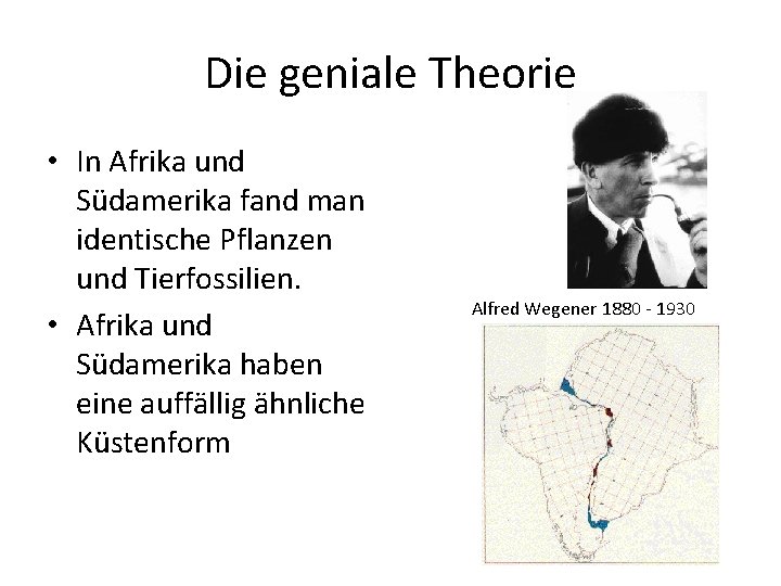 Die geniale Theorie • In Afrika und Südamerika fand man identische Pflanzen und Tierfossilien.