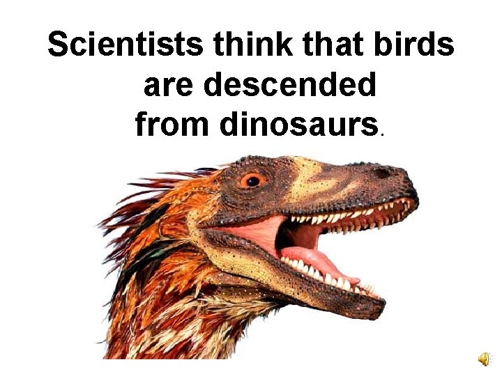 Scientists think that birds are descended from dinosaurs. 