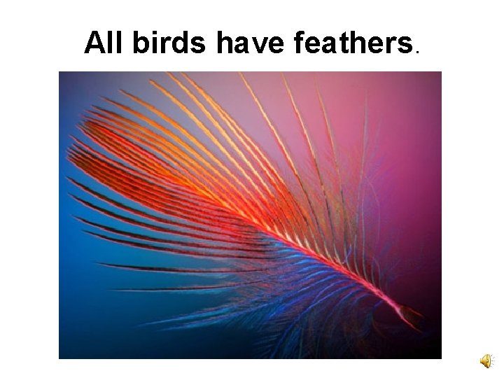 All birds have feathers. 