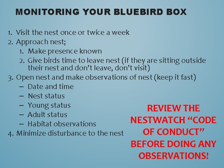 MONITORING YOUR BLUEBIRD BOX 1. Visit the nest once or twice a week 2.