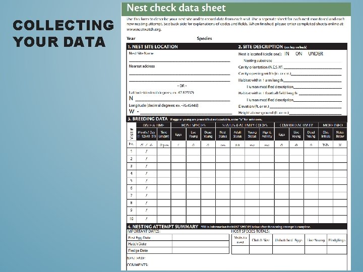 COLLECTING YOUR DATA 